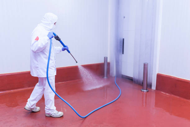Best Paint Preparation  in Palm Beach Shores, FL